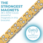 Ladies Double Row Titanium Magnetic Bracelet